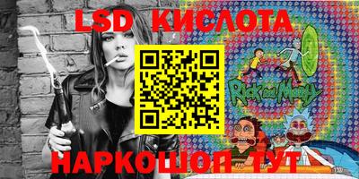 прущие грибы Новозыбков